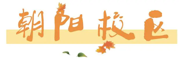 制定激励性的篮球训练目标和奖励机制_0